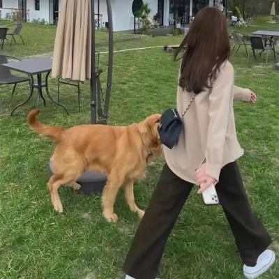 猛撞之躯
